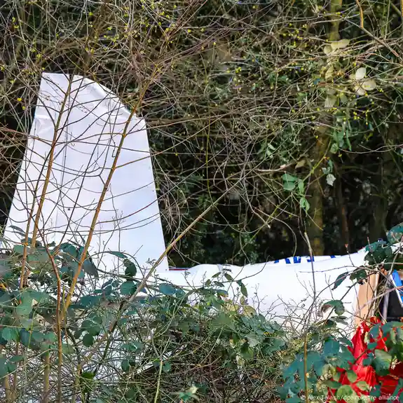 Germany: Aircraft crashes into garden, killing pilot