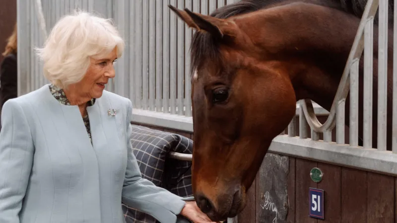 Queen Camilla Named Royal Patron of British Racing School
