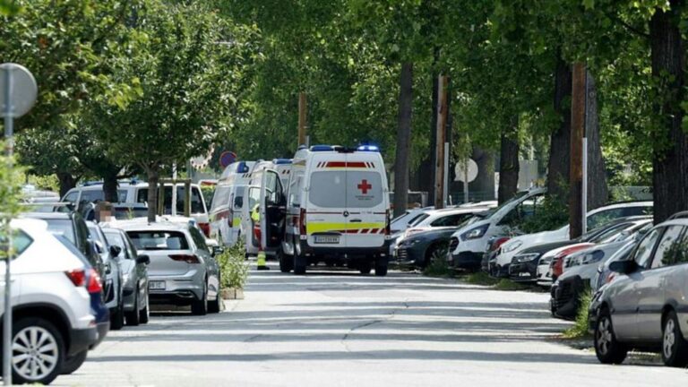Update : Austrian school gunman who killed nine was 21-year-old former pupil, officials say