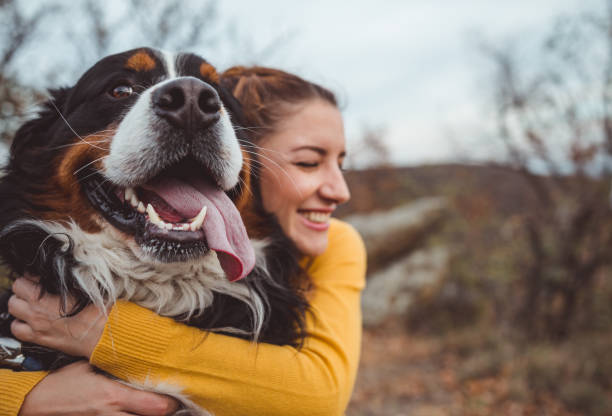 Iran extends ban on dog-walking for ‘public order, safety and health’
