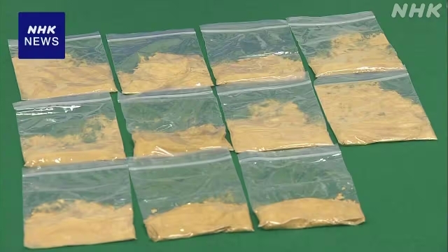 Tokyo police have arrested four individuals for trying to smuggle about 8 kilograms of powdered gold into Japan from Hong Kong by hiding it in their underwear.