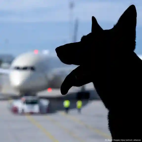 Pets aren’t passengers, EU top court finds .