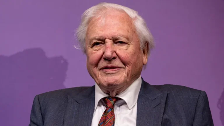 “Sir David Attenborough is oldest Daytime Emmy winner for Secret Lives of Orangutans”