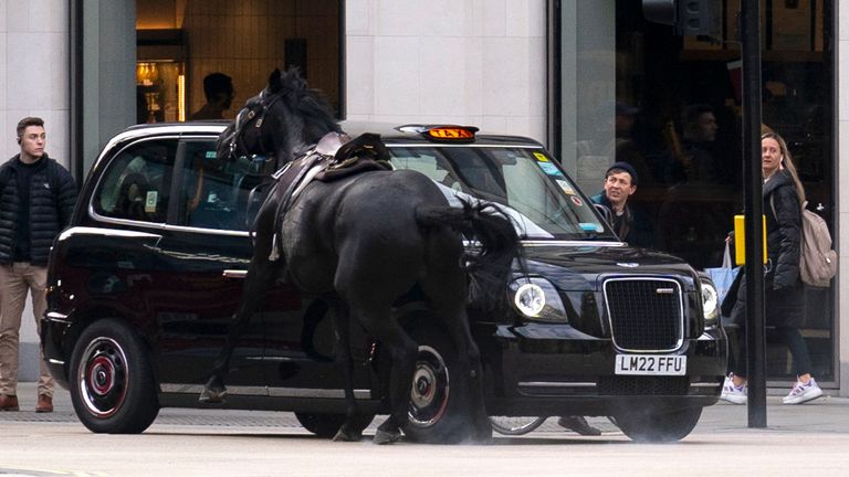 Horse that bolted through London retires .